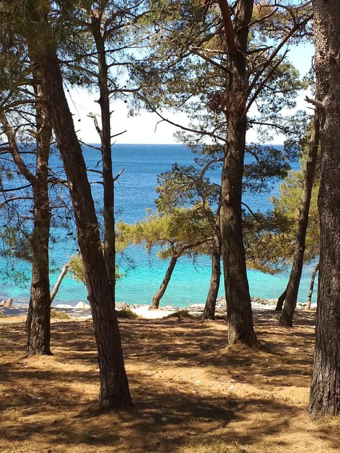 Vlasta Mali Lošinj Extérieur photo